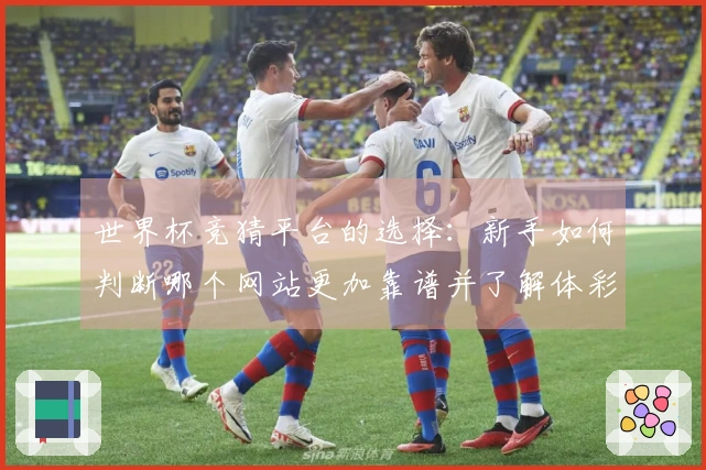 世界杯竞猜平台的选择：新手如何判断哪个网站更加靠谱并了解体彩竞猜流程