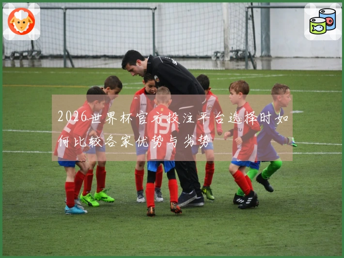 2026世界杯官方投注平台选择时如何比较各家优势与劣势