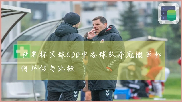 世界杯买球app中各球队夺冠概率如何评估与比较