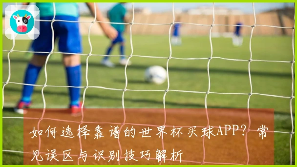 如何选择靠谱的世界杯买球APP？常见误区与识别技巧解析