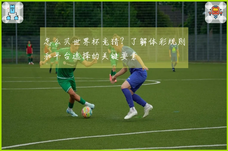 怎么买世界杯竞猜？了解体彩规则和平台选择的关键要素
