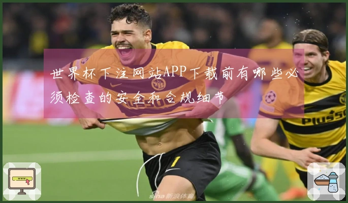 世界杯下注网站APP下载前有哪些必须检查的安全和合规细节
