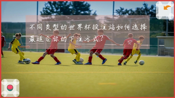 不同类型的世界杯投注站如何选择最适合你的下注方式？