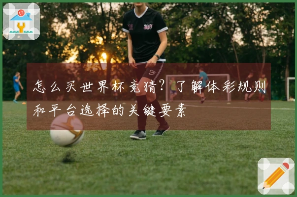 怎么买世界杯竞猜？了解体彩规则和平台选择的关键要素