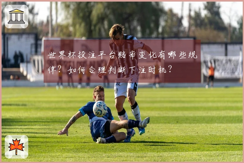 世界杯投注平台赔率变化有哪些规律？如何合理判断下注时机？