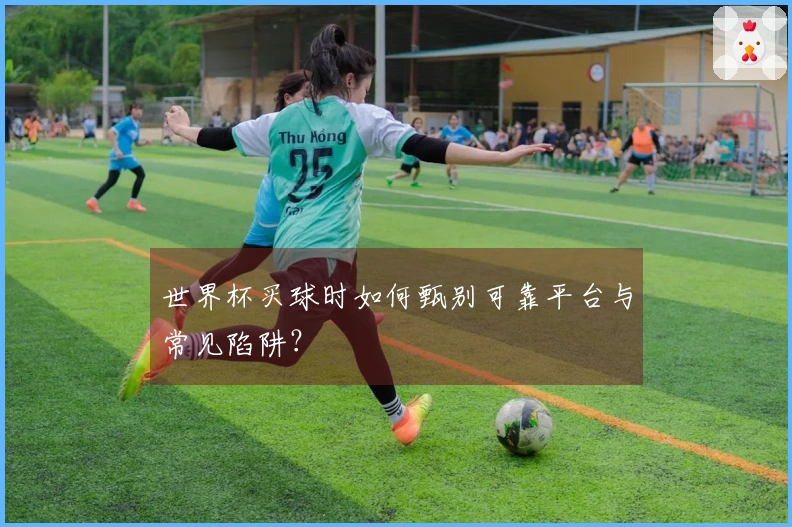 世界杯买球时如何甄别可靠平台与常见陷阱？